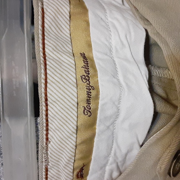 Shorts - Picture 3 of 3